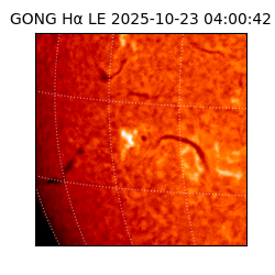 gong - 2025-10-23T04:00:42