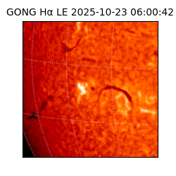 gong - 2025-10-23T06:00:42