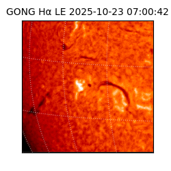 gong - 2025-10-23T07:00:42