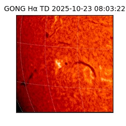gong - 2025-10-23T08:03:22