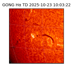 gong - 2025-10-23T10:03:22