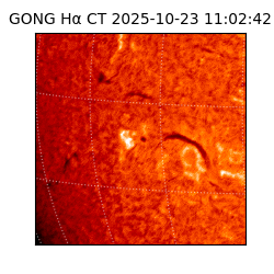 gong - 2025-10-23T11:02:42