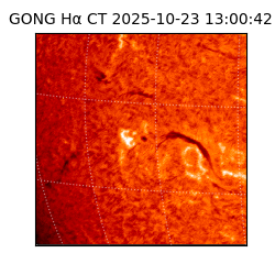 gong - 2025-10-23T13:00:42