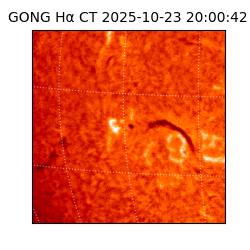 gong - 2025-10-23T20:00:42