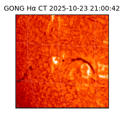 gong - 2025-10-23T21:00:42