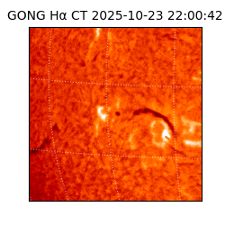 gong - 2025-10-23T22:00:42