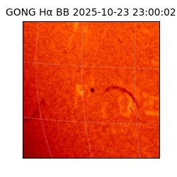 gong - 2025-10-23T23:00:02