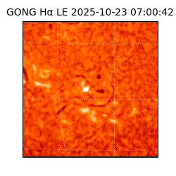 gong - 2025-10-23T07:00:42