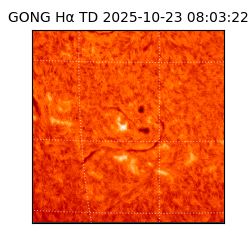 gong - 2025-10-23T08:03:22