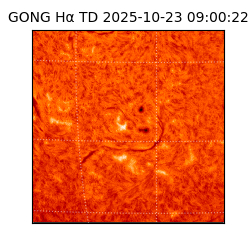 gong - 2025-10-23T09:00:22