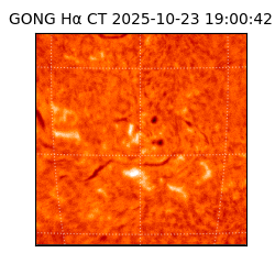 gong - 2025-10-23T19:00:42