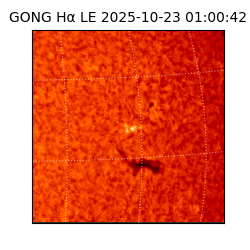 gong - 2025-10-23T01:00:42