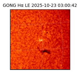 gong - 2025-10-23T03:00:42