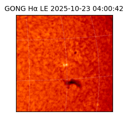 gong - 2025-10-23T04:00:42