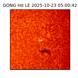 gong - 2025-10-23T05:00:42