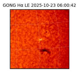 gong - 2025-10-23T06:00:42