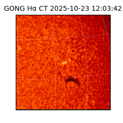 gong - 2025-10-23T12:03:42