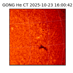gong - 2025-10-23T16:00:42