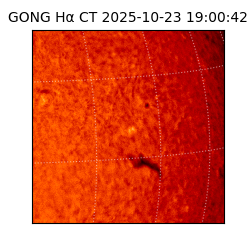 gong - 2025-10-23T19:00:42