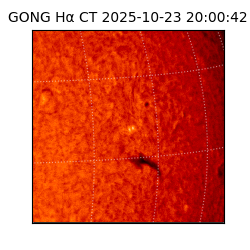 gong - 2025-10-23T20:00:42