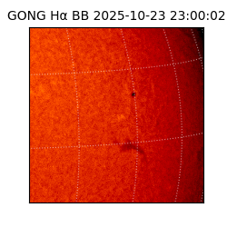 gong - 2025-10-23T23:00:02