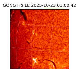 gong - 2025-10-23T01:00:42