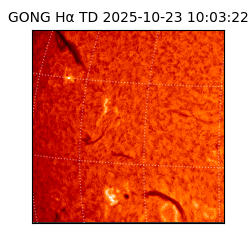 gong - 2025-10-23T10:03:22