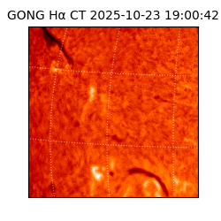 gong - 2025-10-23T19:00:42