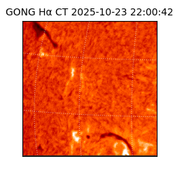 gong - 2025-10-23T22:00:42