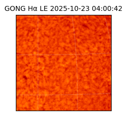 gong - 2025-10-23T04:00:42
