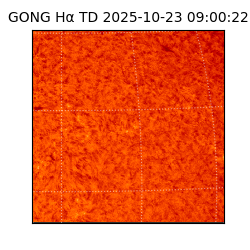 gong - 2025-10-23T09:00:22