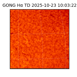 gong - 2025-10-23T10:03:22