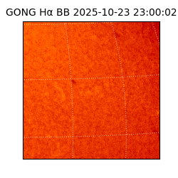 gong - 2025-10-23T23:00:02