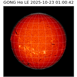 gong - 2025-10-23T01:00:42