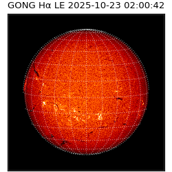 gong - 2025-10-23T02:00:42
