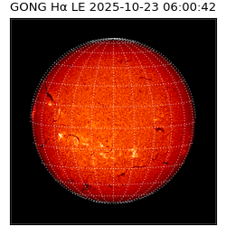gong - 2025-10-23T06:00:42