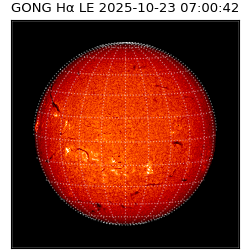 gong - 2025-10-23T07:00:42