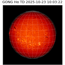 gong - 2025-10-23T10:03:22