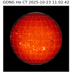 gong - 2025-10-23T11:02:42