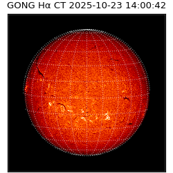 gong - 2025-10-23T14:00:42