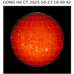 gong - 2025-10-23T18:00:42