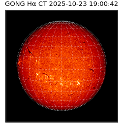 gong - 2025-10-23T19:00:42