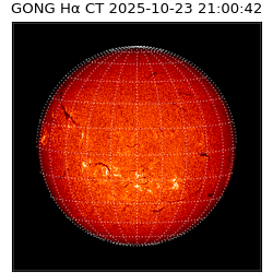 gong - 2025-10-23T21:00:42