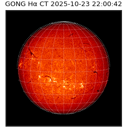 gong - 2025-10-23T22:00:42