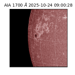 saia - 2025-10-24T09:00:28.717000