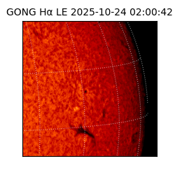 gong - 2025-10-24T02:00:42