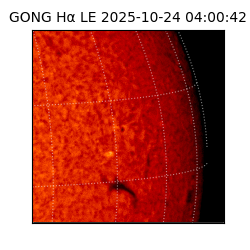 gong - 2025-10-24T04:00:42