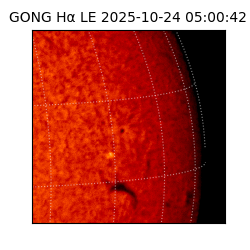 gong - 2025-10-24T05:00:42
