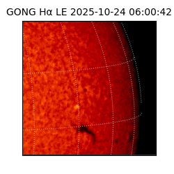 gong - 2025-10-24T06:00:42