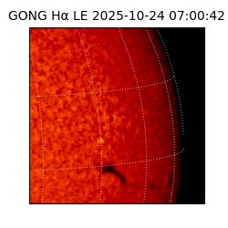 gong - 2025-10-24T07:00:42